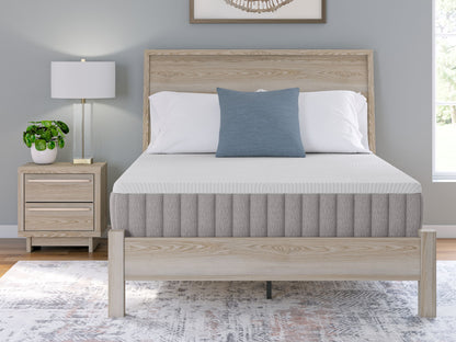Terra Sleep Firm - Colchón